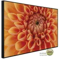 papermoon Infrarotheizung "EcoHeat - Blume", Matt-Effekt - bunt