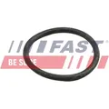 FAST Dichtring, Kühlmittelrohrleitung ft49918 für Mercedes