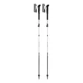 LEKI Skyterra FX Carbon SL, 110-130 cm