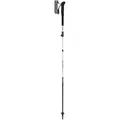 LEKI Wanderstock Skytera FX Carbon SL
