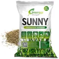 Greenyp® Sunny I dürreresistenter Trockenrasen I 0,2kg für 10m² I Grassamen Rasensamen Rasensaat Gras Nachsaat schnellkeimend