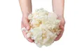 Steinbach | Filter Wool Flakes | umweltfreundliches Filtermedium aus 100% Schurw