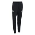 adidas Men's Mercedes - AMG Petronas Formula 1 Team DNA Pant, Black/semi Mint Rush, L