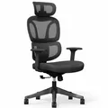 Ergonomischer Bürostuhl BS5BB schwarz, verstellbare Armlehnen, schwarz - B