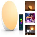 Smart LED Tischlampe Alexa Google Assistant Touch Dimmbar RGB Farbwechsel