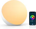 Smart LED Tischlampe mit Alexa Google Assistant Steuerung 4 Modi 1000 Lumen