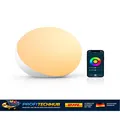 Smart LED Tischlampe Alexa Google Assistant WiFi Dimmbar RGB Farbwechsel