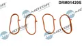 Dr.Motor Automotive DRM01429S Dichtungssatz, Ansaugkrümmer für HONDA