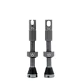 Peaty's x Chris King Tubeless MK2 Valves 42mm Slate
