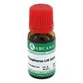 PHOSPHORUS LM 24 Dilution 10 ml