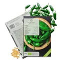 BIO Chili Samen (Early Jalapeno, 5.000 Scoville) - Chili Saatgut aus biologischem Anbau ideal für die Anzucht im Garten, Balkon oder Terrasse (10 Korn)