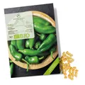 BIO Chili Samen (Early Jalapeno) - biol. Anbau (5.000 Scoville, 10 Korn)