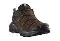 Salomon X ULTRA 360 LEATHER GORE-TEX Wanderschuh wasserdicht