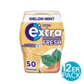Wrigley's Extra Professional Melon Mint