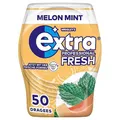 EXTRA PROFESSIONAL Fresh Kaugummi Dose Melon Mint 50 Dragees