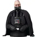 Star Wars Episode VI Büste 1/6 Darth Vader (unhelmeted) 15 cm
