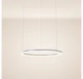 s.luce Pendelleuchte LED Pendelleuchte Ring 60 direkt oder indirekt 5m Abhängung Weiß, Warmweiß