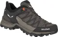 Salewa Schuhe Mtn Trainer Lite Gtx, 613627517