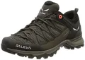 Salewa, Mountain Trainer Lite Gore-Tex Damenwanderschuhe, Braun, 39