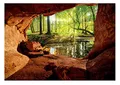WallArena - Vlies Fototapete Wald Bach Sonne Höhle Natur Landschaft 312x219 cm - Fototapeten - Tapeten - für Wohnzimmer Schlafzimmer - Vliestapete Wandtapete Tapete 3D Effekt- inkl. Kleister