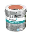 BOTAMENT PF1 Pflaster Frisch rot 2,5l