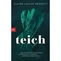 Teich