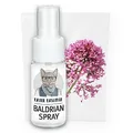 Kater Kasimir Baldrian Spray für Katzen, 100% natürlich ohne Zusatzstoffe. Baldrian Spray Macht langweiliges Katzenspielzeug interessant für die Selbstbeschäftigung von Katzen