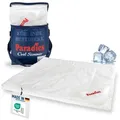 PARADIES kühlende Sommerdecke "Cool Dream Bio" in 135x200, leichte Bettdecke für den Sommer - Weiß
