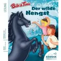 Bibi und Tina, Der Wilde Hengst, 2 Audio-CDs Sprecher: Sascha Rotermund, Gekürzte Lesung, 2 CDs, Bibi & Tina - Kiddinx Hörbuch Edition