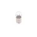 1 987 301 022 BOSCH Glühlampe, Park-/Positionsleuchte Pure Light BL