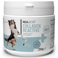 REAVET Collagen Reactive 250g Gelenkpulver für Hunde in Premiumqualität