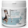 REAVET Collagen Reactive Gelenkpulver für Hunde 250g – in Premiumqualität