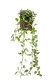 Künstliche Zimmerpflanze Kunsthänger Peperomie SAELFES auf Steckstab, grün-weiß, 85cm Zwergpfeffer (Peperomia watermelon), artplants, Höhe 85.0 cm