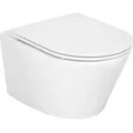 Combi-Pack Amur Wand-Tiefspül WC Spülrandlos und WC-Sitz Edoma Sandwich softclose - 93 255 64