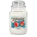 Pomegranate & Coconut 538g