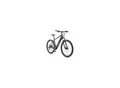 TELEFUNKEN M921 E-MTB 29" granitgrau