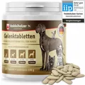 TESTSIEGER Gelenktabletten Hunde mit MSM Grünlippmuschel Pulver Omega 3 Gelenk A
