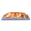 Ferplast Hundematte Groß - Waschbares Hundebett - Hundekissen - Wasserdicht & Kratzfest - Matte für Hundehütten und Auto, Hundekorb - Jolly - 98 x 65 cm, L, GRAU