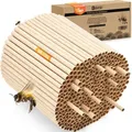 BEESI 600x Nisthülsen für Wildbienen 6 und 8 mm Ø I Wasserabweisend hohe Lebensdauer I Nisthilfe, Zubehör, Füllmaterial für Insektenhotel