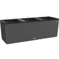 Lechuza® Pflanzgefäß Trio Cottage 100 cm x 32 cm x 34 cm Granit