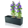 Lechuza Blumenkasten TRIO Cottage 30 Trendserie Komplett-Set granit 15003