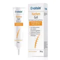 EVOLSIN Narben Gel 20 G