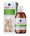 Immun Tonicum für Katzen  1 x 90 ml  DiätErgänzungsfuttermittel & Appetitanre...