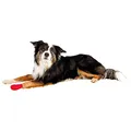 TRIXIE Bitterstoff-Bandagen - Sortiert 5 cm/4,5 m