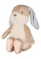 Sterntaler Träumli Nachtlicht mit Farbwechsel - Kuscheltier Hase Hanni aus Flausch & Jersey - 20 Melodien & Sounds - Bestickung nachtleuchtend - Modul entnehmbar - ab Geburt, hellbraun