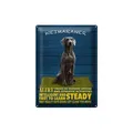 Femer GmbH Metallschild Spruch 30x40cm Weimaraner Hund alert and steady, (1 St), gewölbte Oberfläche, abgerundete Ecken, umgeschlagene Kanten