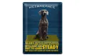 Blechschild Spruch 30x40 cm Weimaraner Hund alert and steady Deko Schild