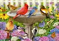 Ravensburger 16793 Im Vogelbad Puzzle, Multicolor