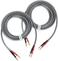 QED Reference XT40i Lautsprecher Kabel 2x 2m X-Tube Audio HiFi Bananenstecker