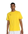 PUMA teamGOAL Jersey